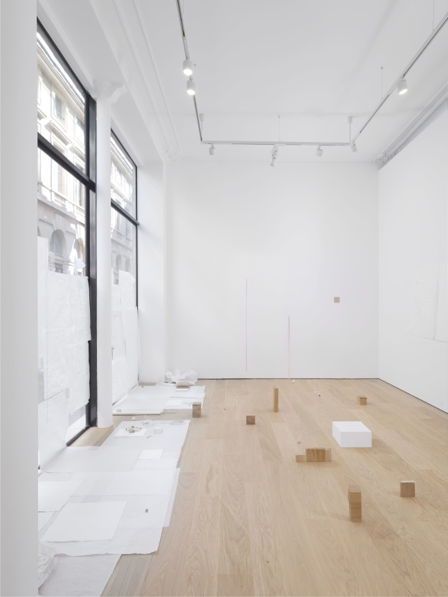 Fernanda Gomes, installation view