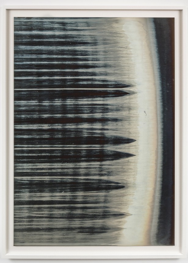 Sunflower_25 2016 pure silver and tin base on unexposed Cibachrome paper mounted on aluminum