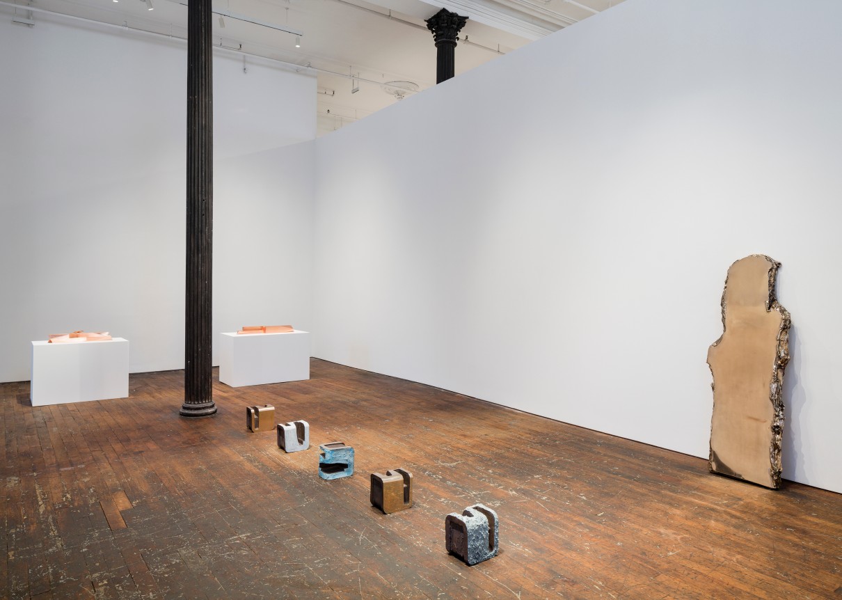 Lucy Skaer: Sentiment, Peter Freeman, Inc., New York. 
