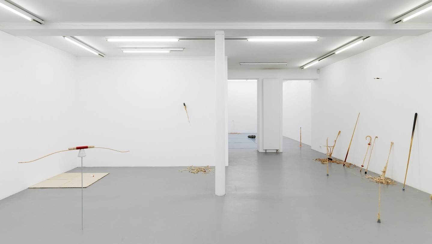 Ania Soliman - David Adamo, Galerie Nelson-Freeman, Paris. 