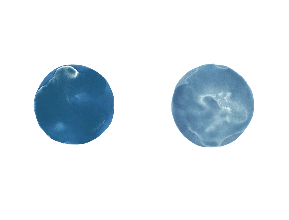 Studio Wall (east) July 25, 2008, 5:46 AM- 8:18 PM July 25th, 2008&nbsp;and Studio wall (west) July 25th, 2008, 5:46 AM-8:18 PM &nbsp;July 25th, 2008, 2008, Cyanotype on paper, 10 x 11 inches each; 13.25 x 12.25 inches each &ndash; framed, Unique.