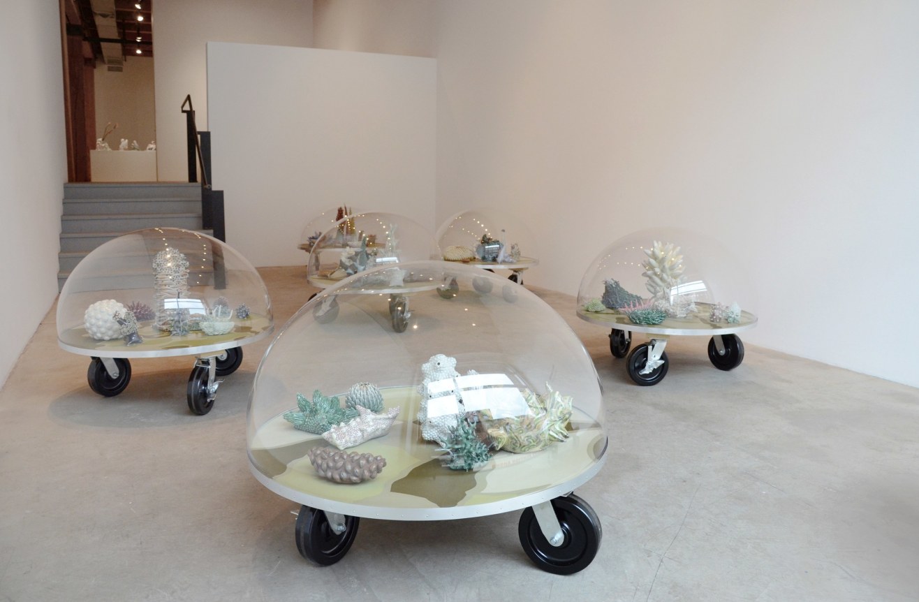 Installation view at Rhona Hoffman Gallery, Chris Garofalo, Zoophytosphere Vivaria, 2013