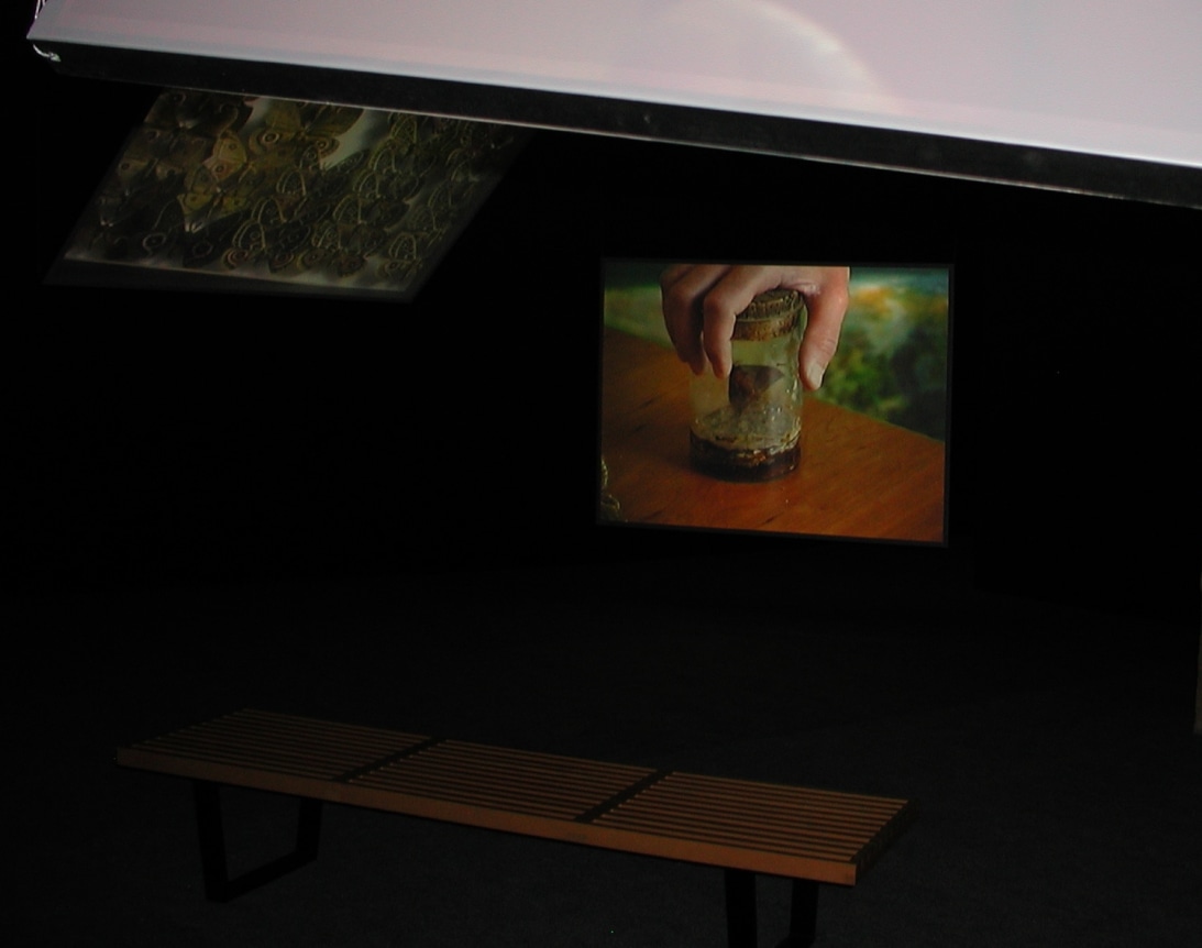 Stefan&#039;s Room, 2004