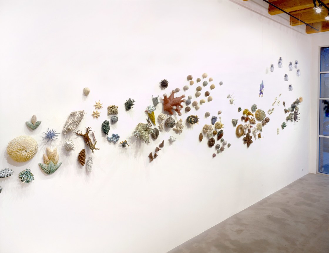 Installation view at Rhona Hoffman Gallery, Chris Garofalo, zoophyta, 2007-2008