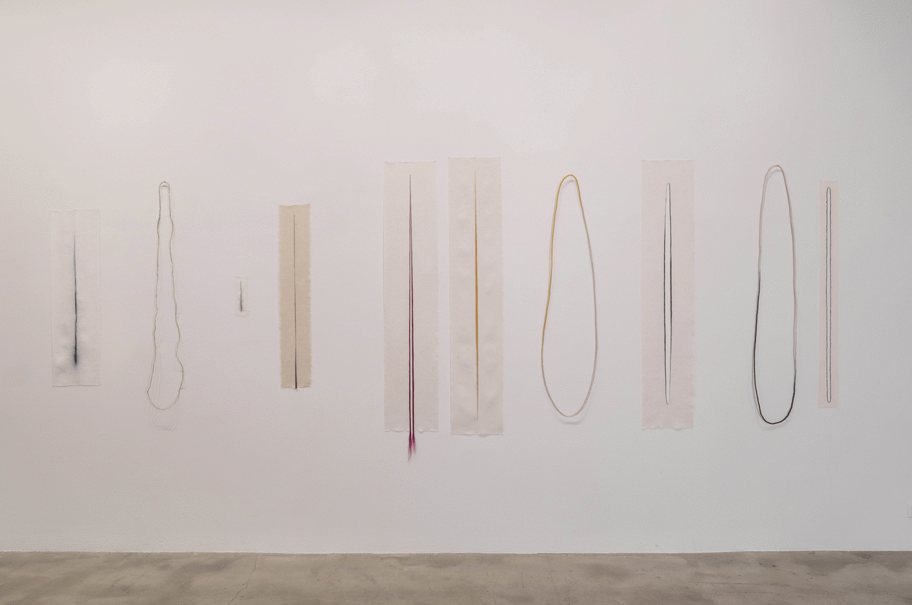 Installation view at Rhona Hoffman Gallery/Anne Wilson/a hand well trained/2017