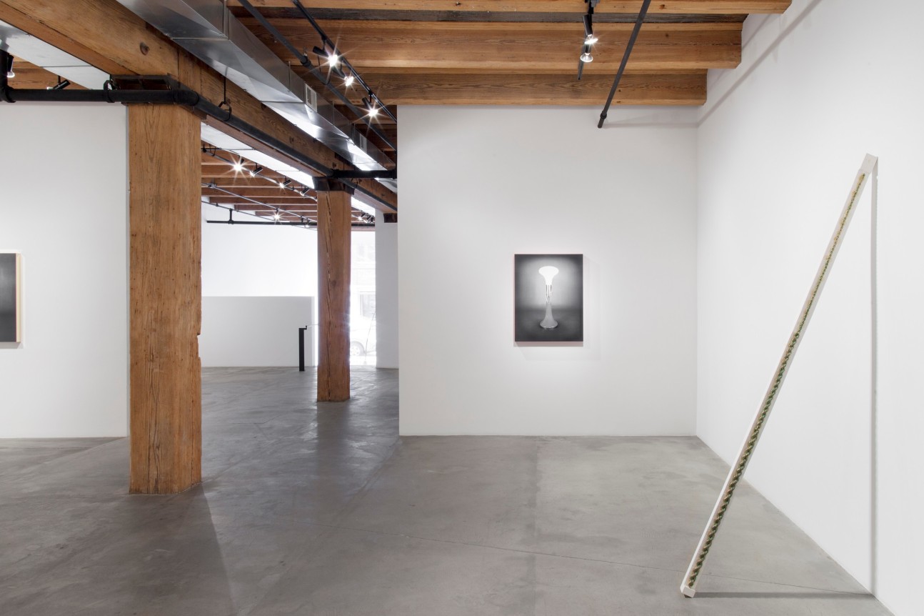 Installation view at Rhona Hoffman Gallery, Luis Gispert, Pin Pan Pun, 2012, Photo: David Elliott
