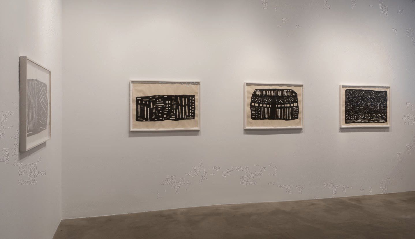 Installation view at Rhona Hoffman Gallery/Susan Hefuna/Cityscapes/2017