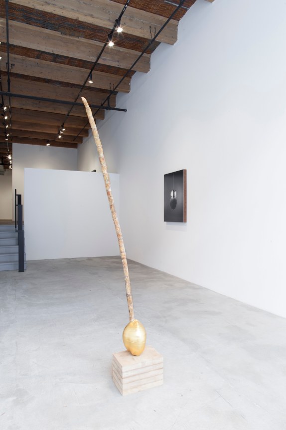 Installation view at Rhona Hoffman Gallery, Luis Gispert, Pin Pan Pun, 2012, Photo: David Elliott
