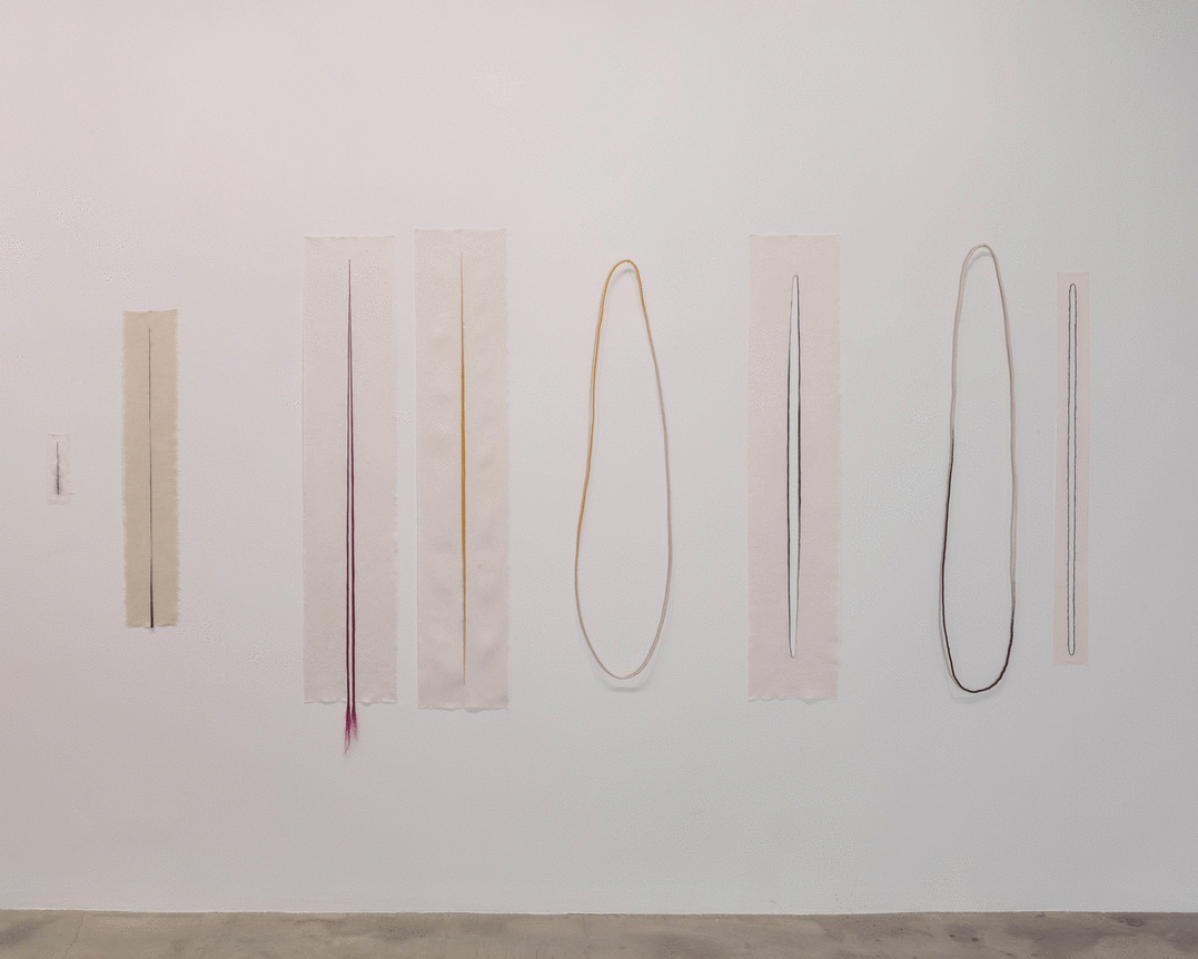 Installation view at Rhona Hoffman Gallery/Anne Wilson/a hand well trained/2017