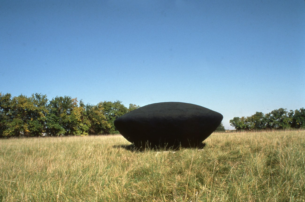 Jene Highstein, Flying Saucer, Nathan Manilow Sculpture Park