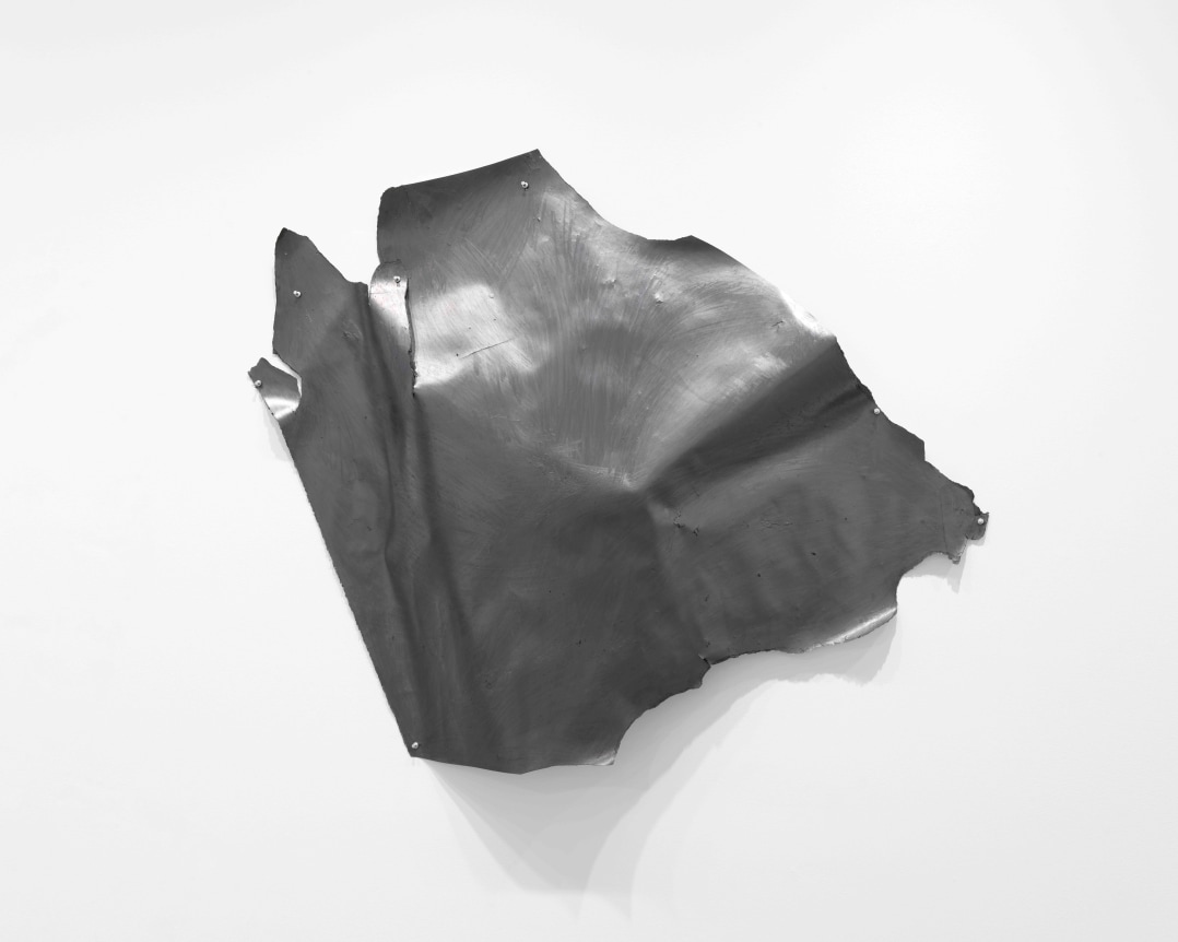 NANCY RUBINS,&nbsp;Drawing,&nbsp;2021 Graphite pencil on rag paper