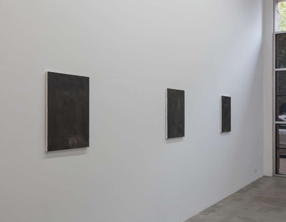 Installation view at Rhona Hoffman Gallery/David Schutter/Night Work/2017