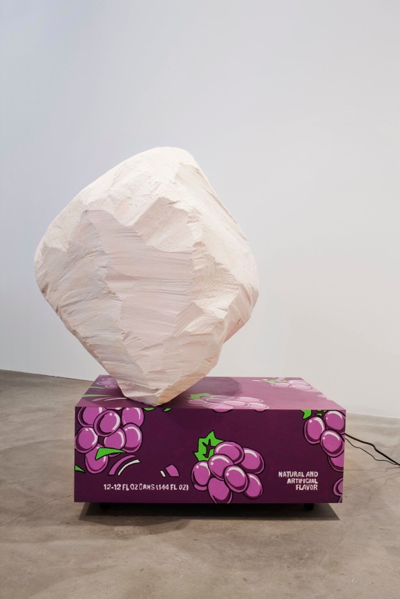 Installation view at Rhona Hoffman Gallery, Luis Gispert, You&#039;re my Favorite Kind of American, 2009