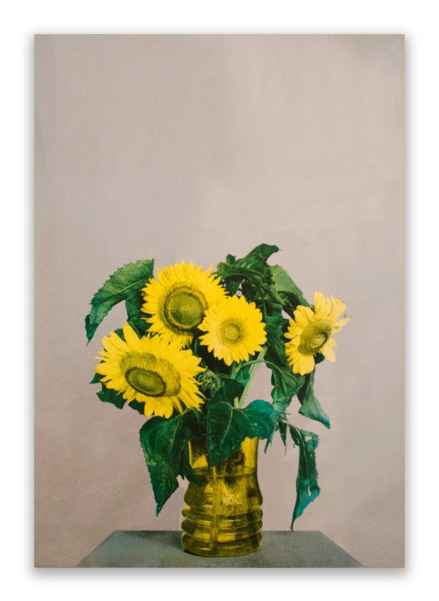 Michelangelo Pistoletto, Girasoli, 1973