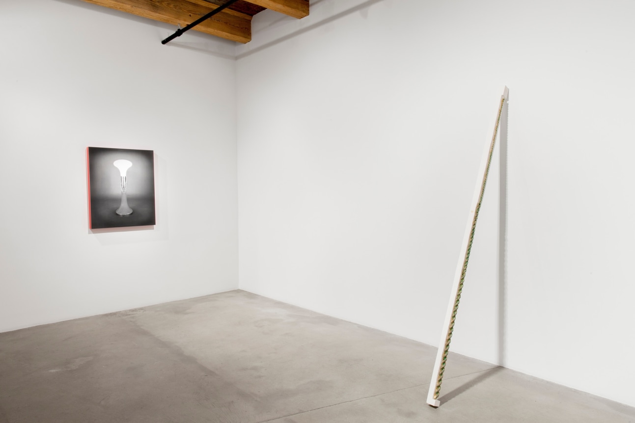 Installation view at Rhona Hoffman Gallery, Luis Gispert, Pin Pan Pun, 2012, Photo: David Elliott