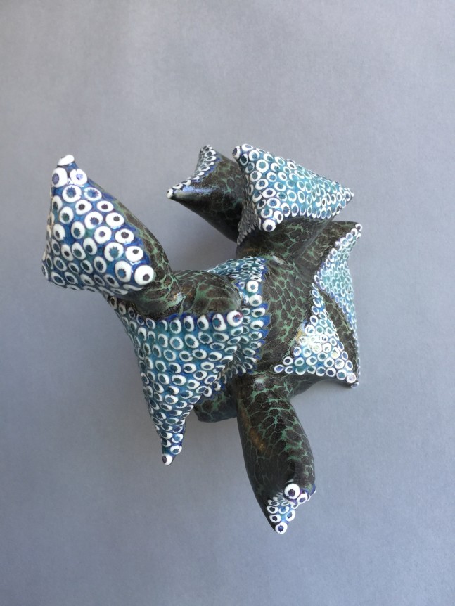 corallimycorrhizae, 2020 Porcelain