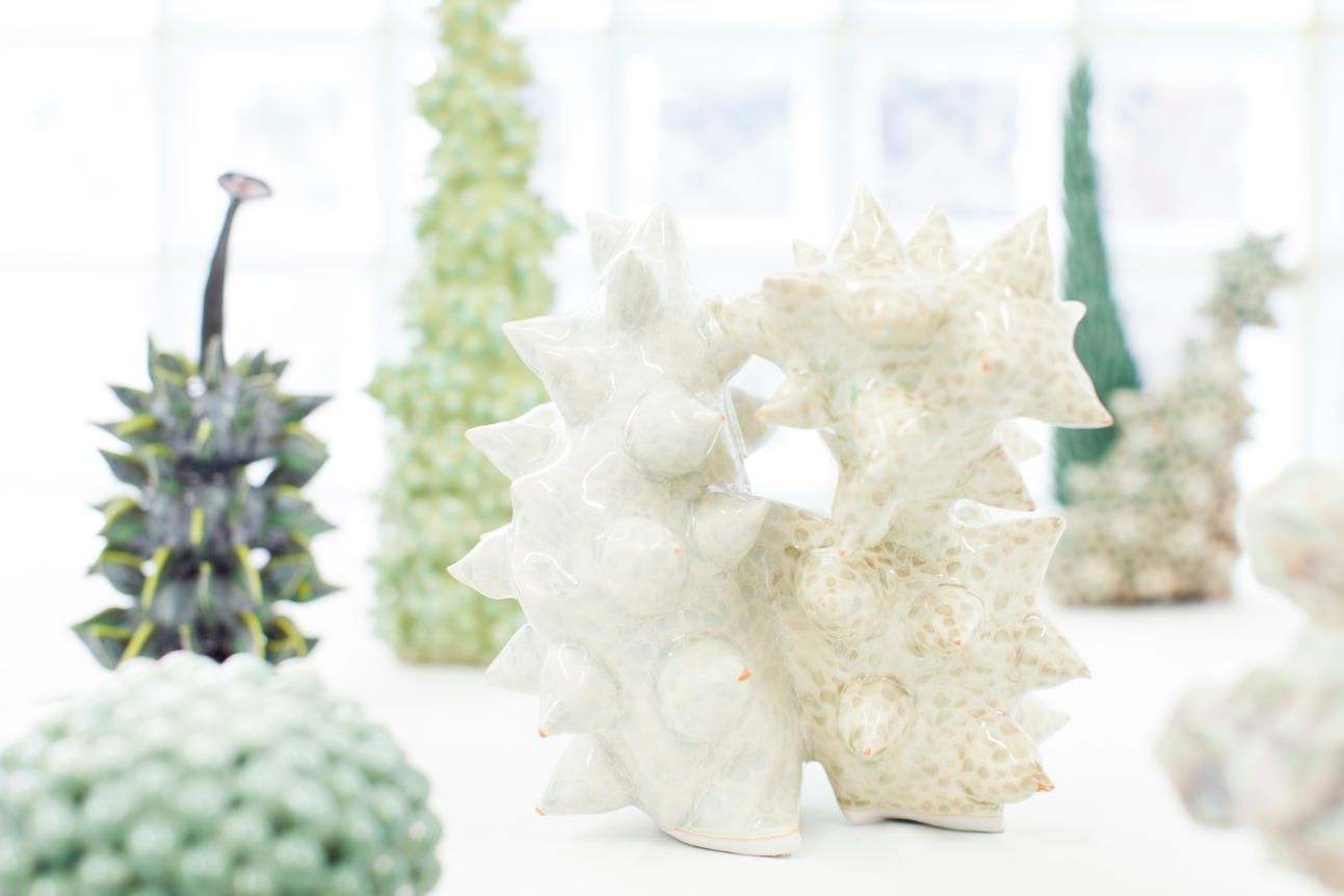 Installation view at Rhona Hoffman Gallery, Chris Garofalo, Zoophytosphere Vivaria, 2013