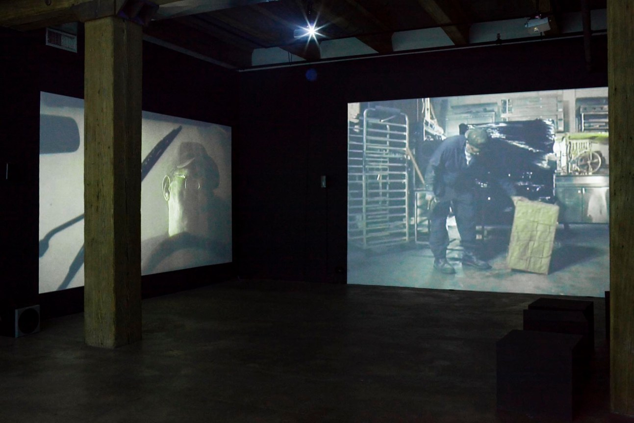 Installation view at Rhona Hoffman Gallery, Luis Gispert, You&#039;re my Favorite Kind of American, 2009