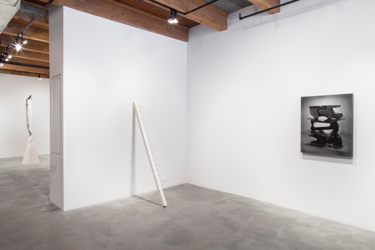 Installation view at Rhona Hoffman Gallery, Luis Gispert, Pin Pan Pun, 2012, Photo: David Elliott