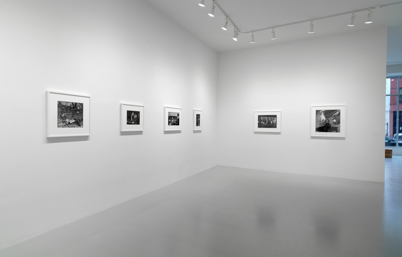 Photo: Tom Van Eynde