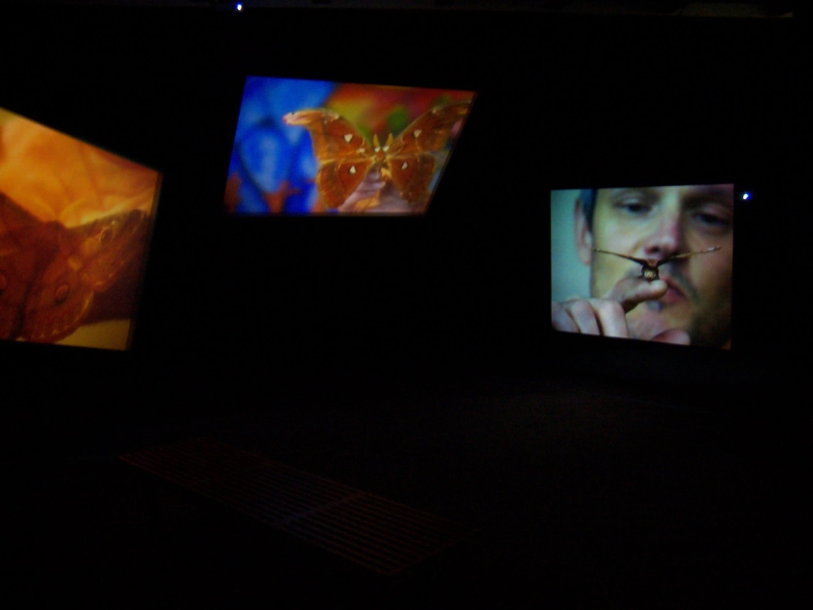 Stefan&#039;s Room, 2004