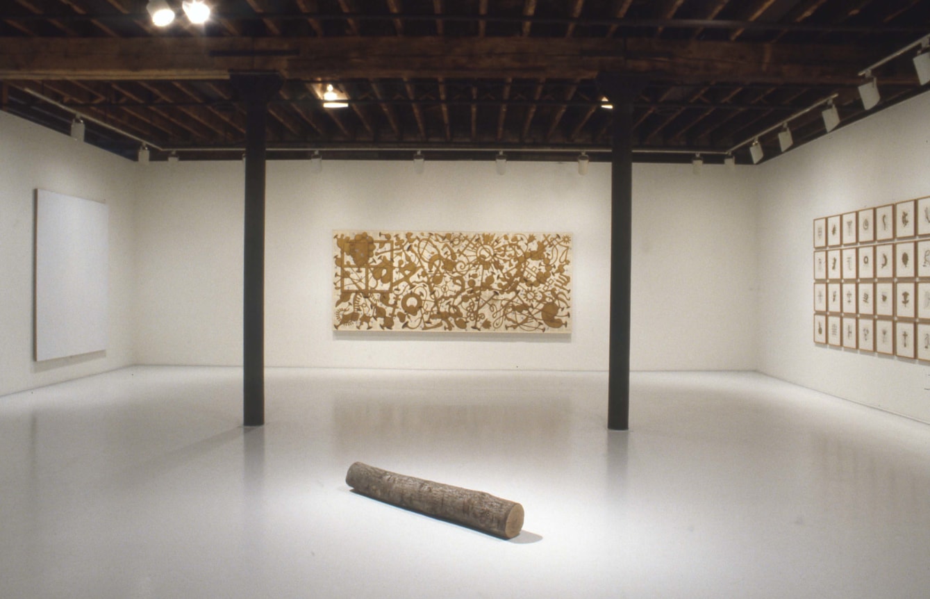 Installation view at Rhona Hoffman Gallery, K.O.S., 1991.