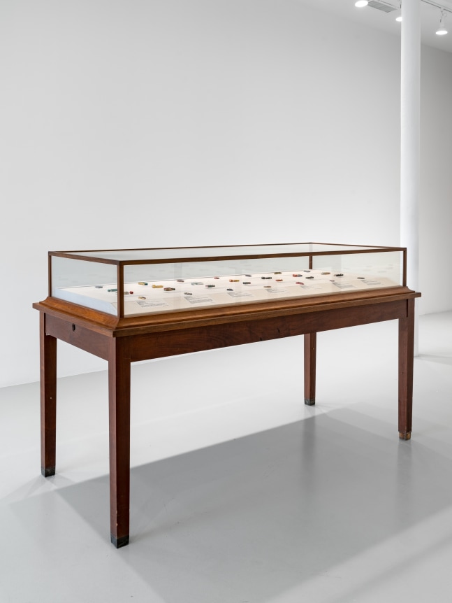 The invisible enemy should not exist (Vitrine 1 - ivories and cylinder seals), 2023