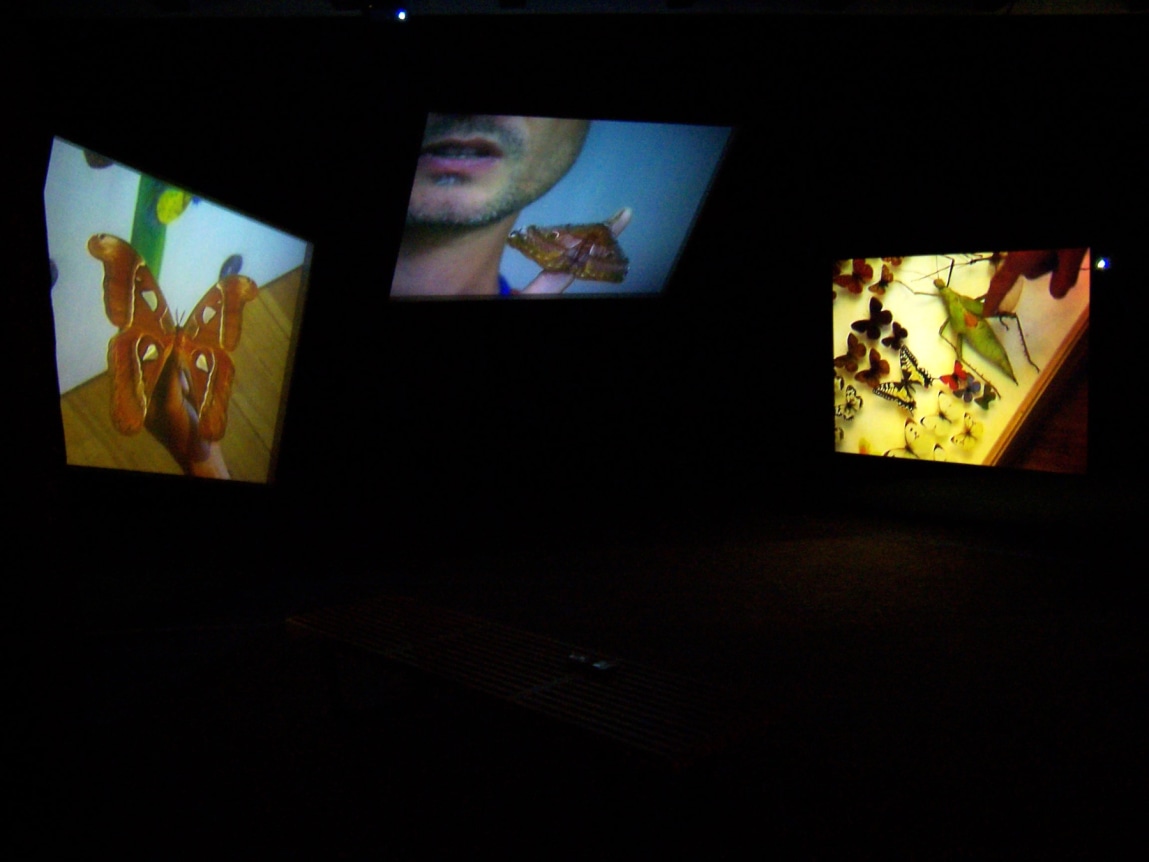 Stefan&#039;s Room, 2004