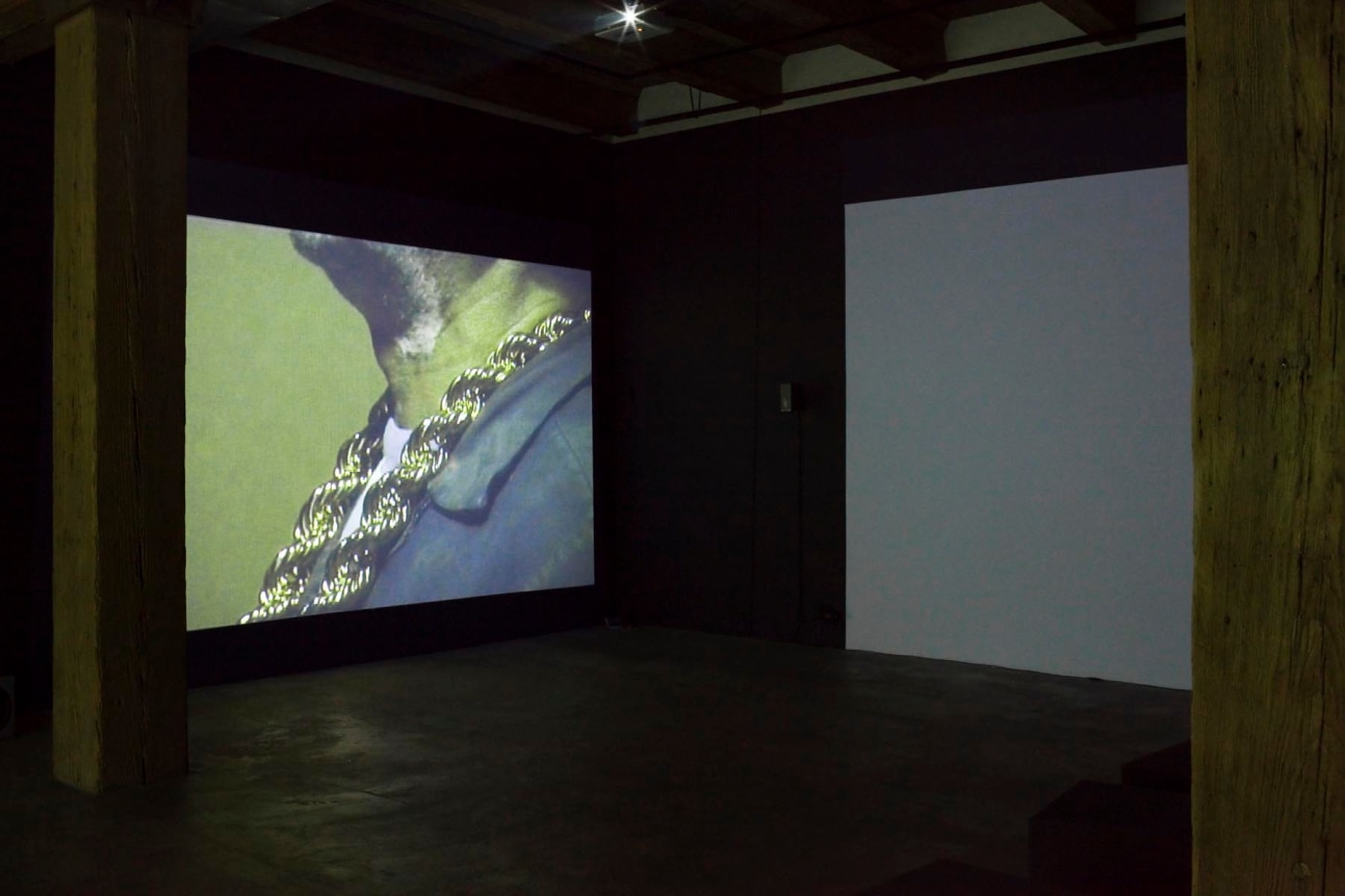 Installation view at Rhona Hoffman Gallery, Luis Gispert, You&#039;re my Favorite Kind of American, 2009