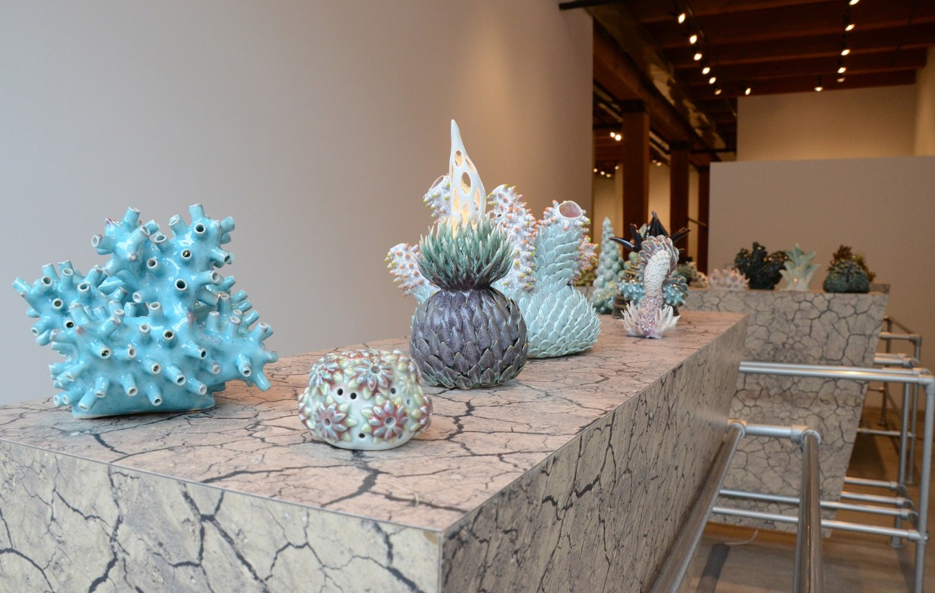 Installation view at Rhona Hoffman Gallery, Chris Garofalo, Edaphology of a Superterrestial Panmitic Population, 2015