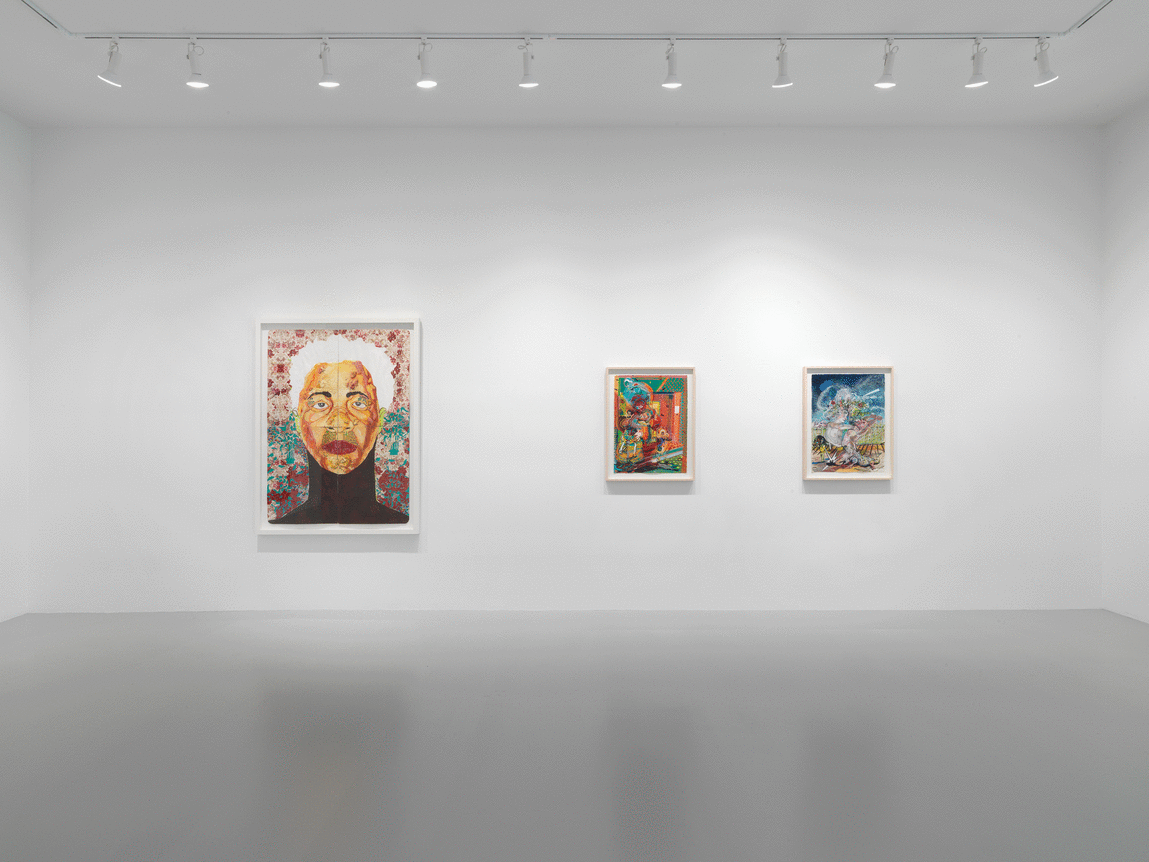 Installation view at Rhona Hoffman Gallery/Embodied Politic/Curated by Anastasia Karpova Tinari/2018