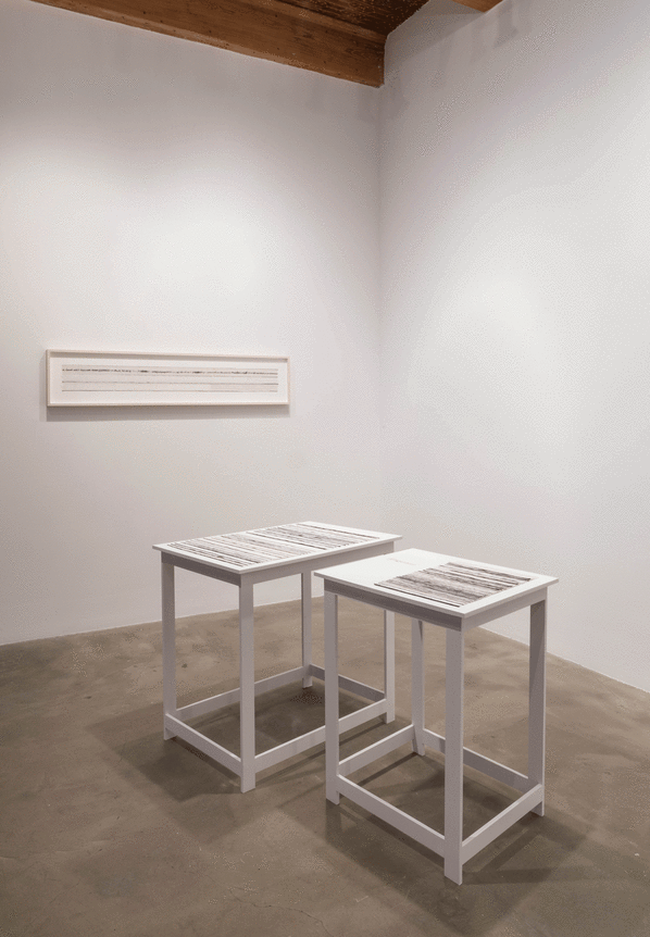 Installation view at Rhona Hoffman Gallery/Anne Wilson/a hand well trained/2017