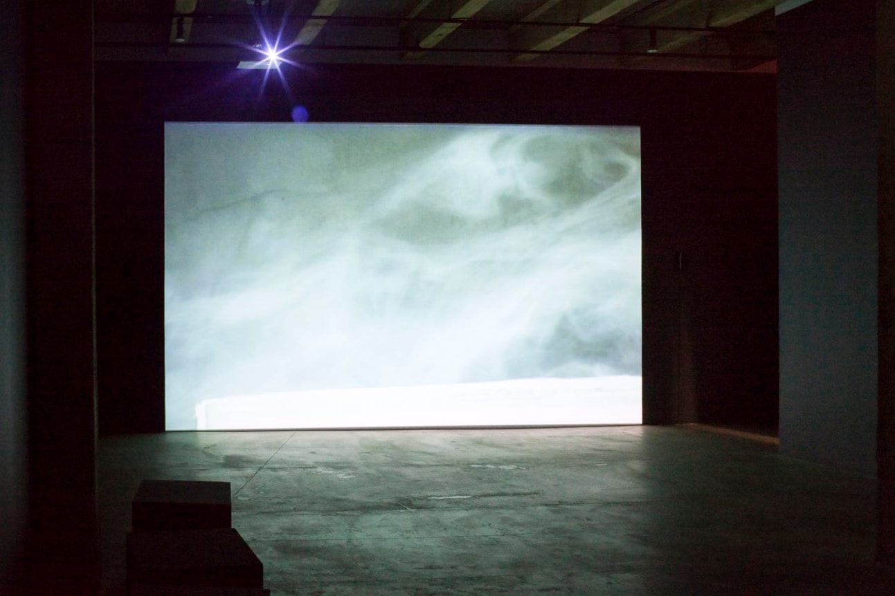 Installation view at Rhona Hoffman Gallery, Luis Gispert, You&#039;re my Favorite Kind of American, 2009