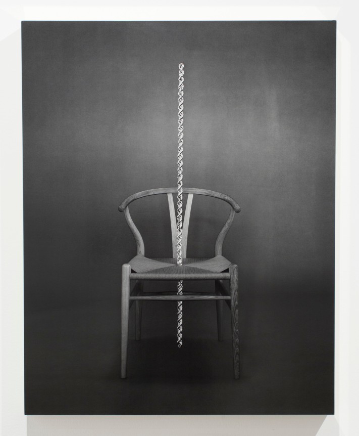 Wishbone, 2012. Gelatin Silver Print mounted on gold-leafed box, 40 x 30 inches, print.