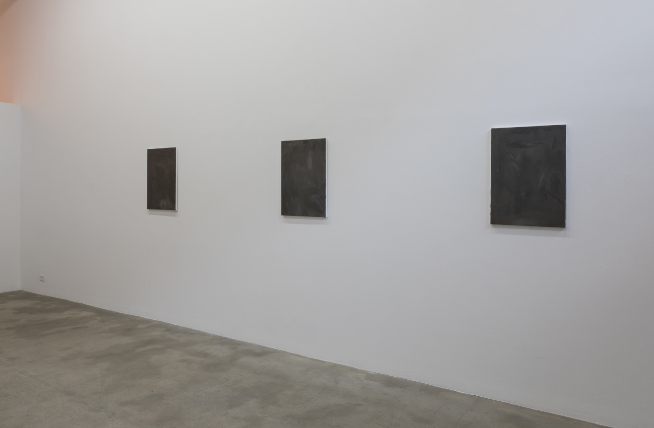 Installation view at Rhona Hoffman Gallery/David Schutter/Night Work/2017