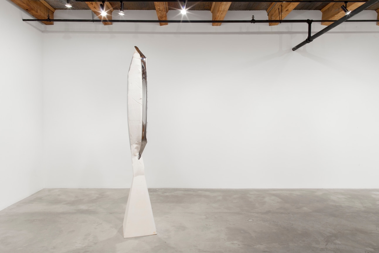 Installation view at Rhona Hoffman Gallery, Luis Gispert, Pin Pan Pun, 2012, Photo: David Elliott
