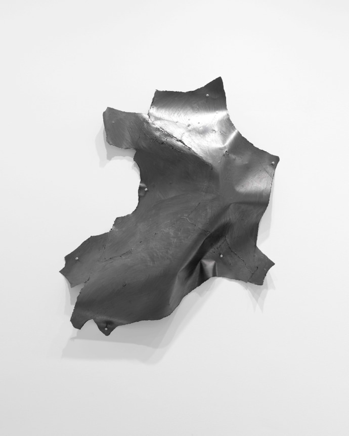 NANCY RUBINS Drawing, 2019