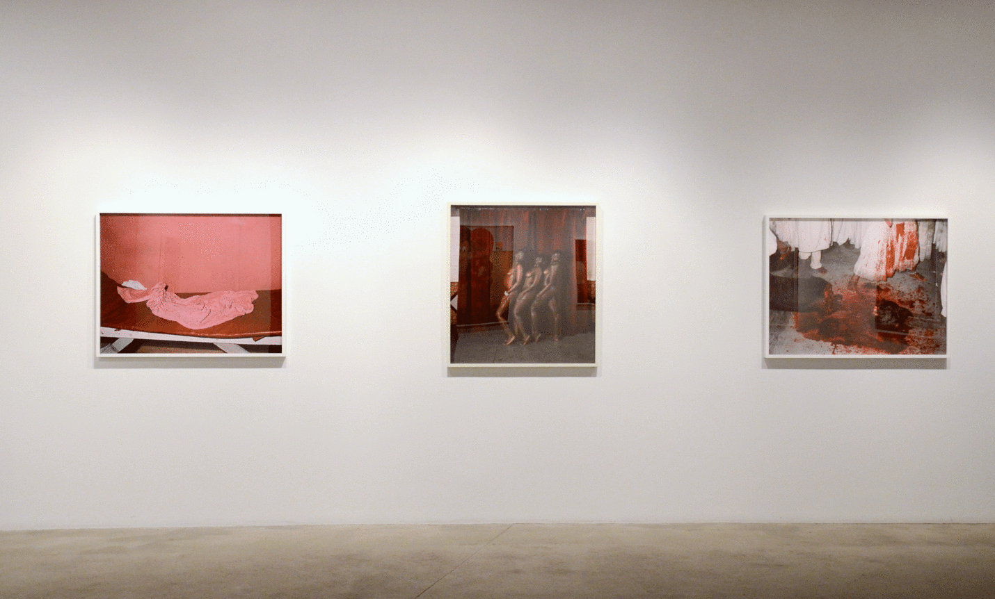 Installation view at Rhona Hoffman Gallery, Deana Lawson, Mother Tongue, 2014