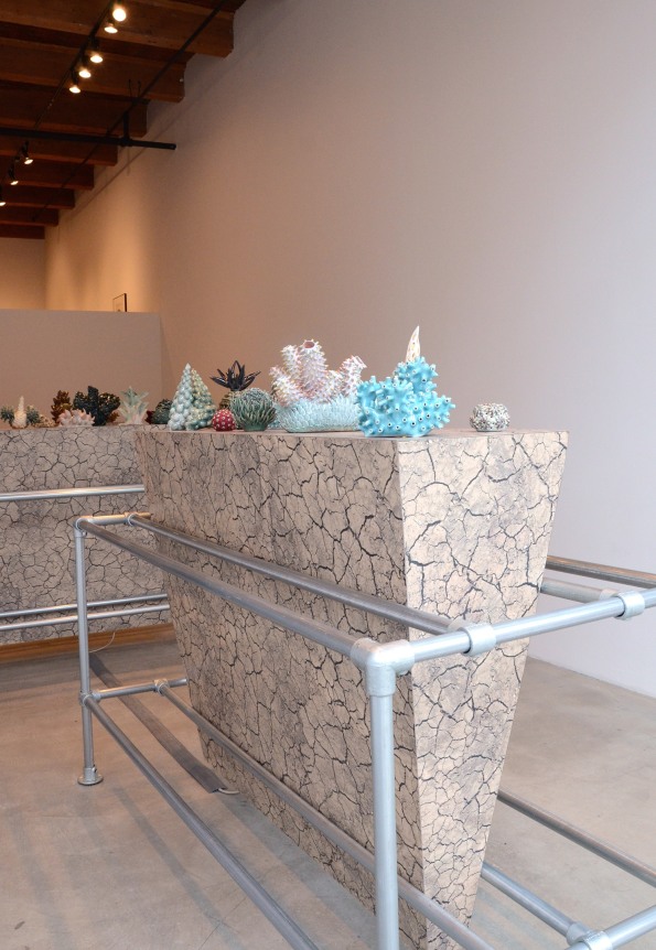Installation view at Rhona Hoffman Gallery, Chris Garofalo, Edaphology of a Superterrestial Panmitic Population, 2015