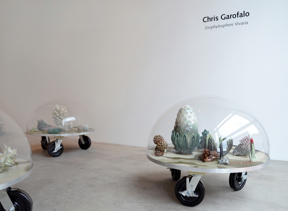 Installation view at Rhona Hoffman Gallery, Chris Garofalo, Zoophytosphere Vivaria, 2013
