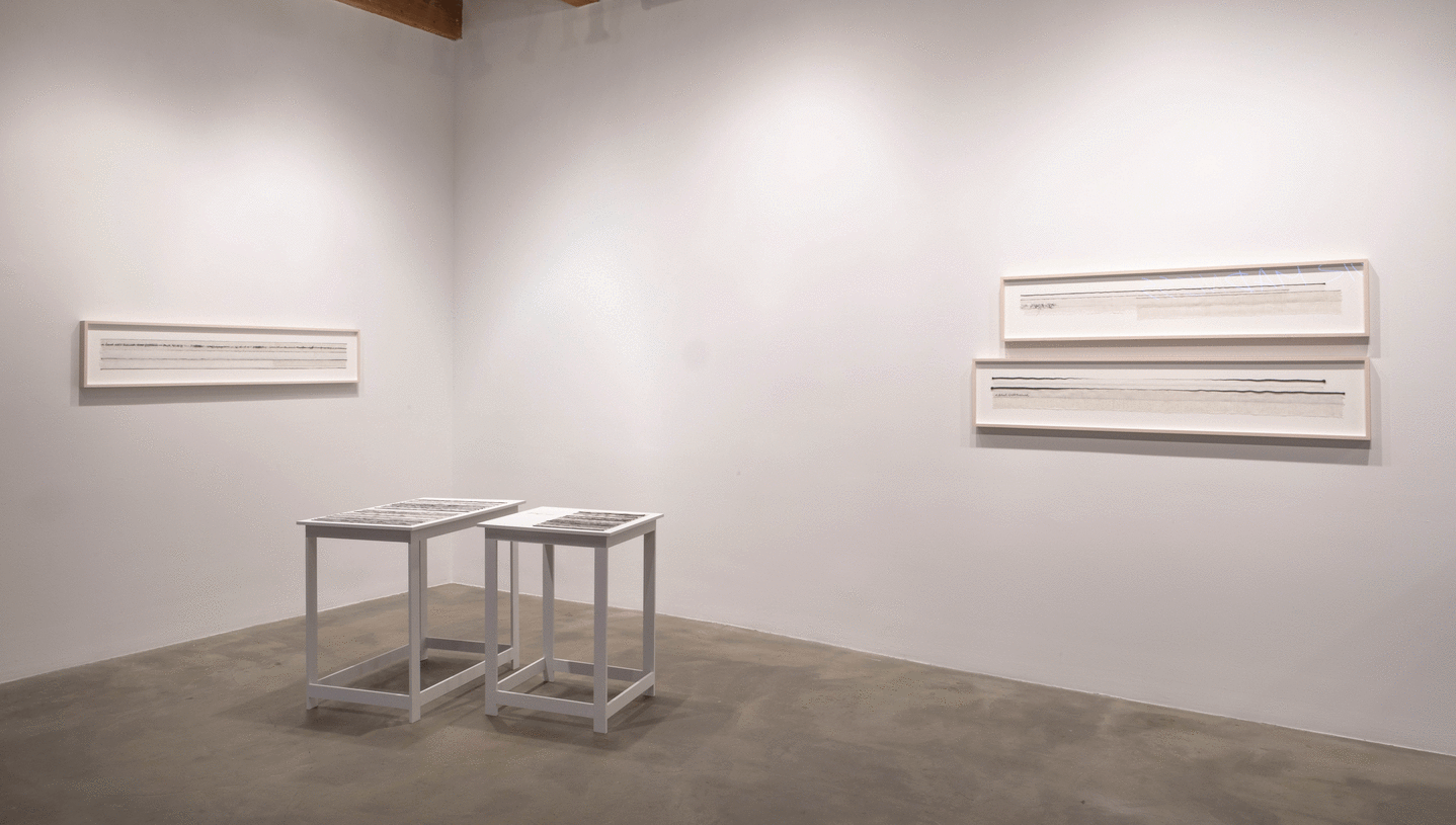 Installation view at Rhona Hoffman Gallery/Anne Wilson/a hand well trained/2017