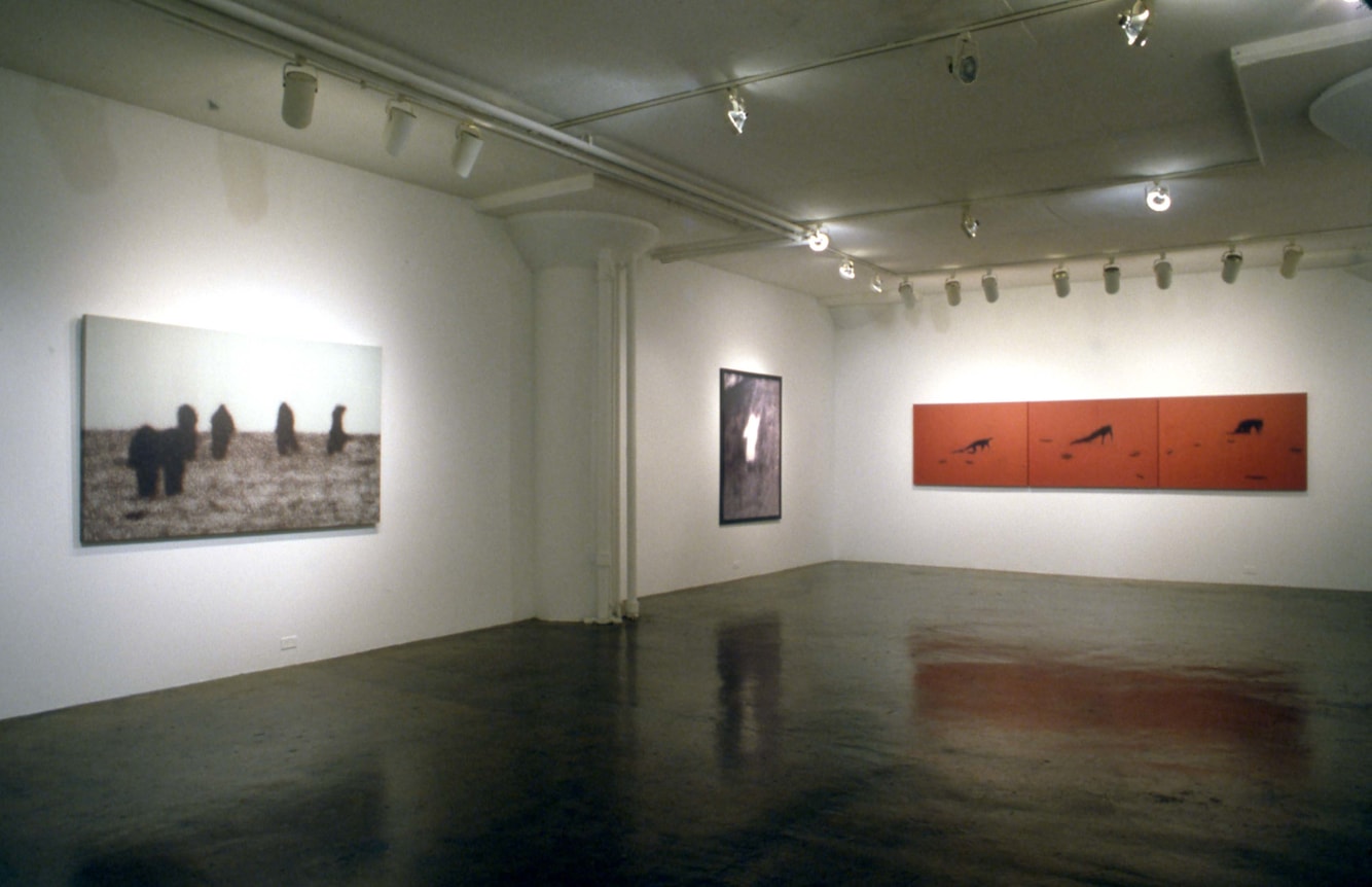 Installation view at Rhona Hoffman Gallery, Michal Rovner, 1995.