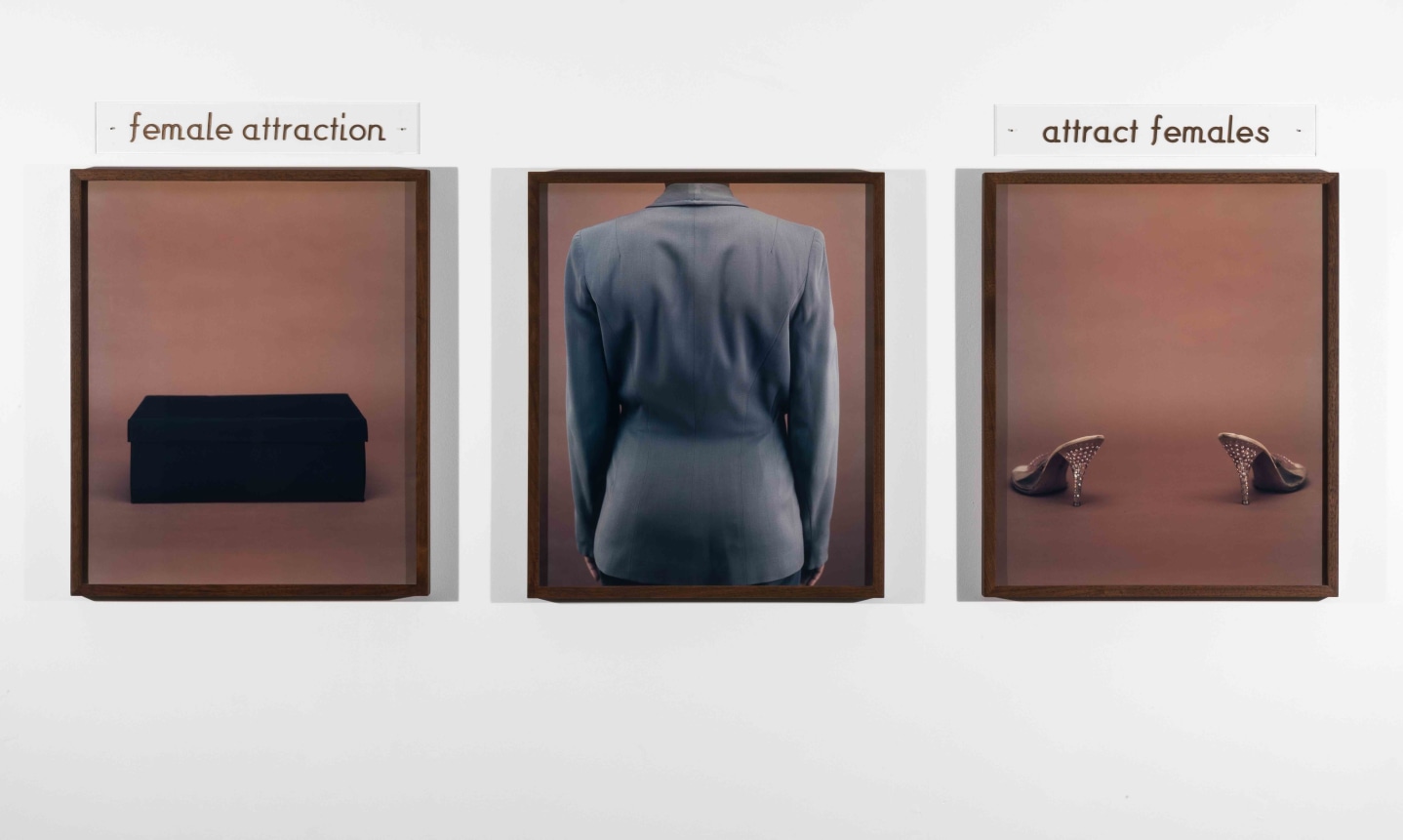 Lorna Simpson,&nbsp;Shoe Lover, 1992. 3 color polaroid photographs and 2 plastic plaques, 29.5 x 77.75 inches.