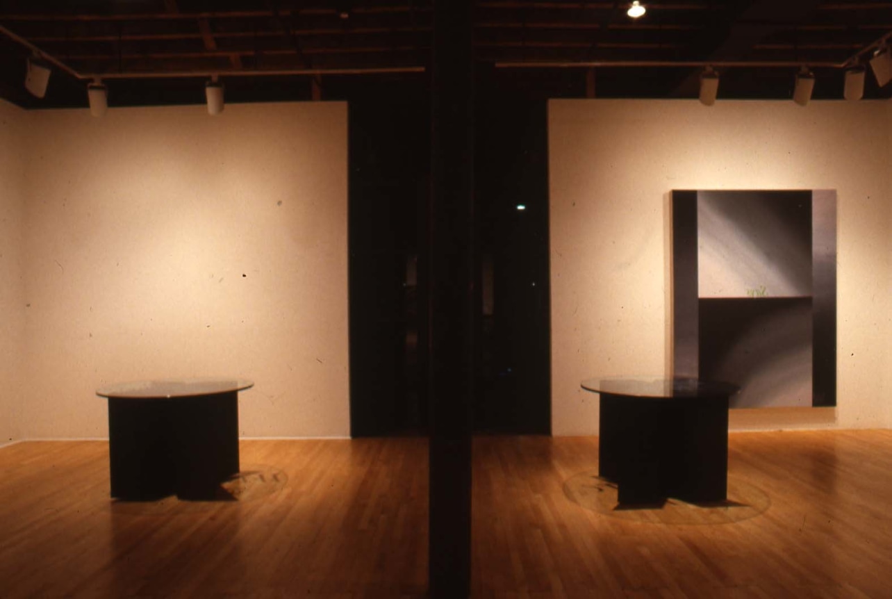 Installation view at Rhona Hoffman Gallery, Nancy Dwyer,&nbsp;1989.