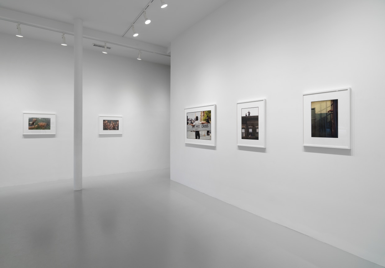 Photo: Tom Van Eynde