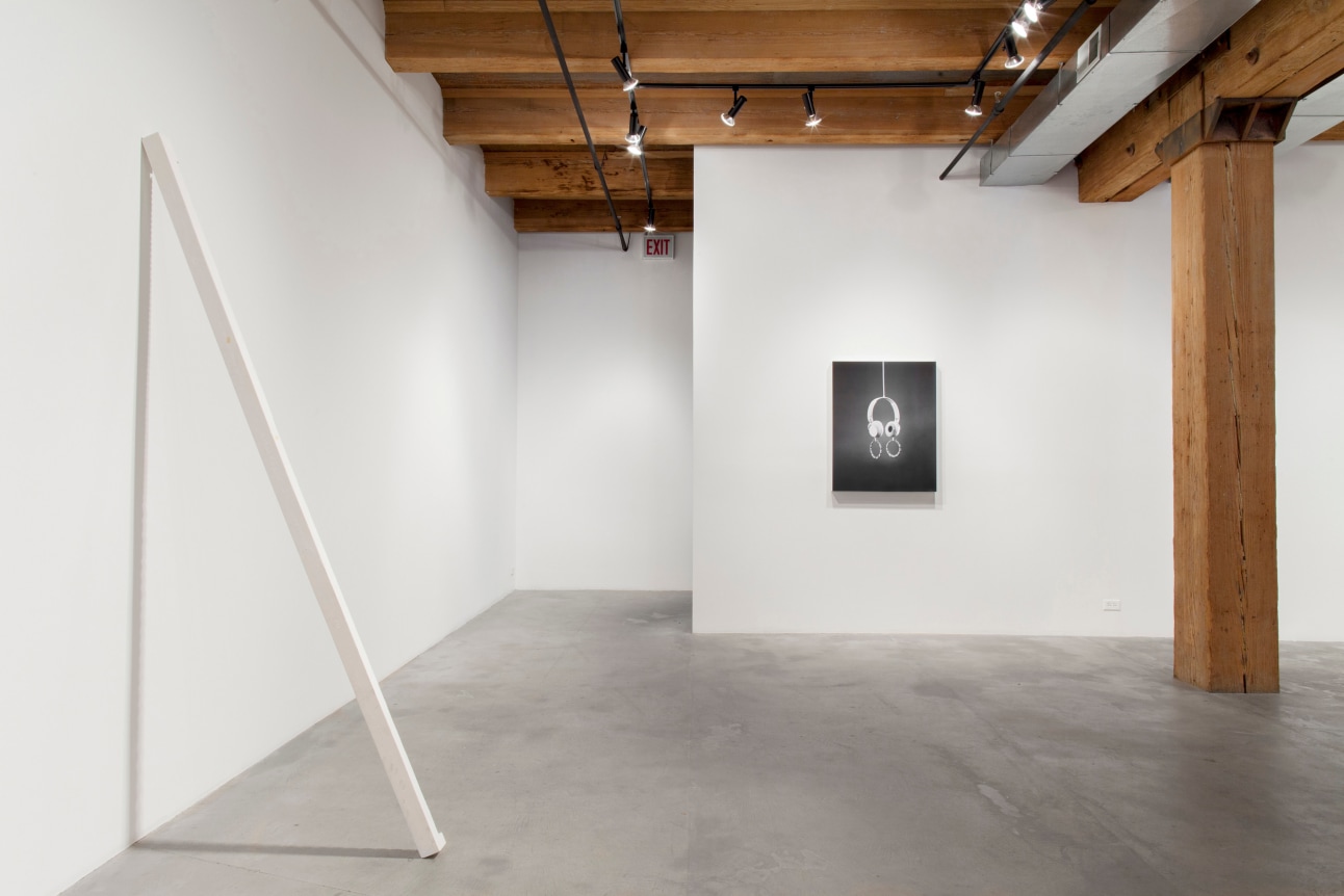 Installation view at Rhona Hoffman Gallery, Luis Gispert, Pin Pan Pun, 2012, Photo: David Elliott