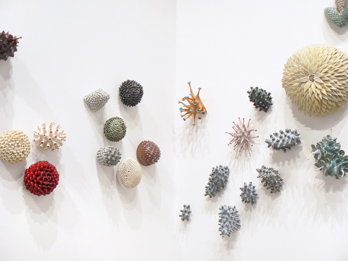 Installation view at Rhona Hoffman Gallery, Chris Garofalo, zoophyta, 2007-2008