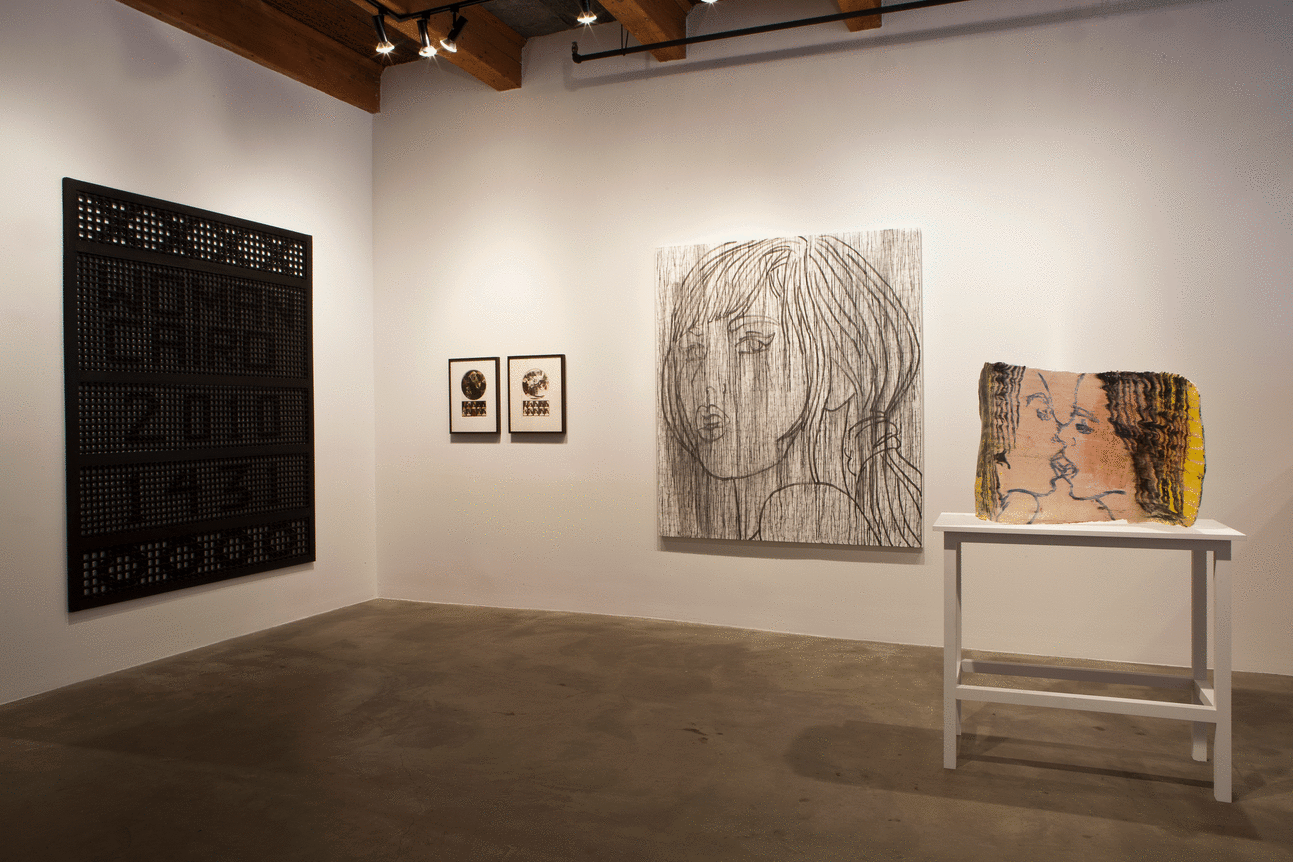 Installation view at Rhona Hoffman Gallery/40 Years Part 2/Gender, Race, Identity/2016