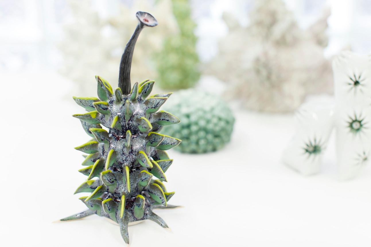 Installation view at Rhona Hoffman Gallery, Chris Garofalo, Zoophytosphere Vivaria, 2013