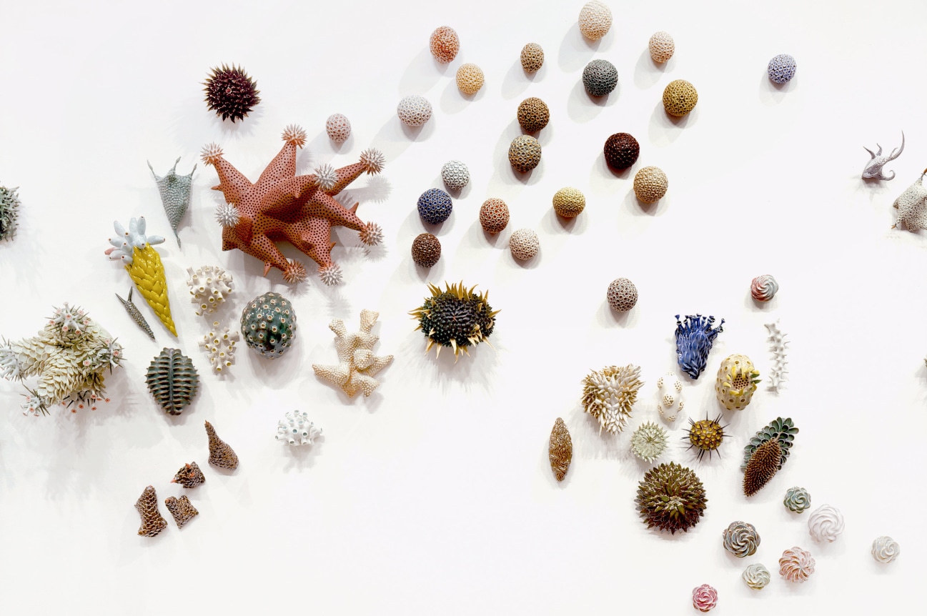 Installation view at Rhona Hoffman Gallery, Chris Garofalo, zoophyta, 2007-2008